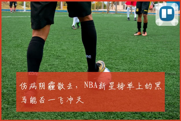 伤病阴霾散去，NBA新星榜单上的黑马能否一飞冲天